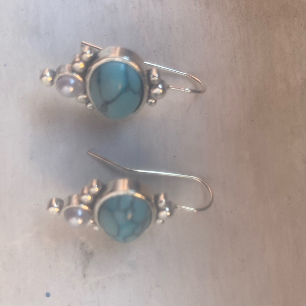 Blue and Silver Heart-Shaped Earrings with Hook Backing